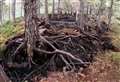 WATCH: NatureScot video reveals campfire damage to nature reserve 