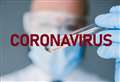 81 new coronavirus cases detected