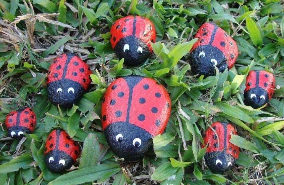 These ladybird stones are striking, but poppies would be an appropriate image for the War Memorial garden.